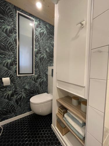 bagno con servizi igienici e specchio di Le Cottage près Obernai a Klingenthal