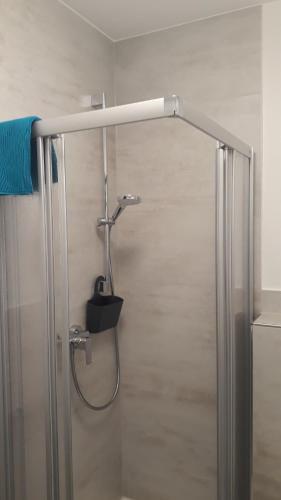 een douche met een douchekop in de badkamer bij Gemütliches Apartment am Kurpark in Bad Ems in Bad Ems