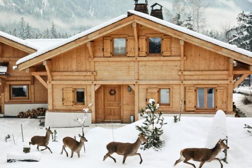 Les Chalets des Liarets photo 18