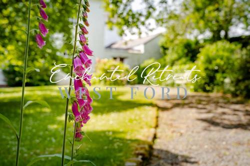 Κήπος έξω από το Enchanted Retreats at West Ford Devon