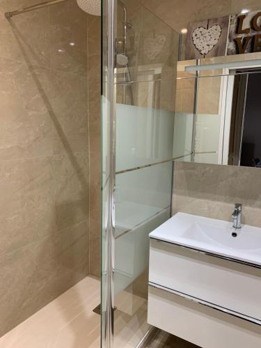 une salle de bain avec un lavabo et une douche dans l'établissement 2 pièces cannes centre, à Cannes