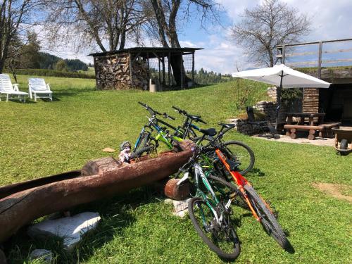 two bikes parked on the grass next to an umbrella at Chalet Maso Pino in Castello Tesino