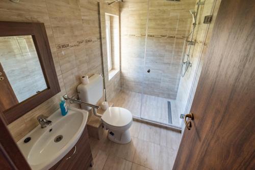 a bathroom with a shower and a toilet and a sink at Golden Beach Apartments Siófok in Siófok