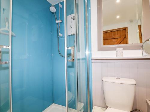 uma casa de banho com um WC e uma cabina de duche em vidro. em 4 Mowhay Cottages em Saint Goran