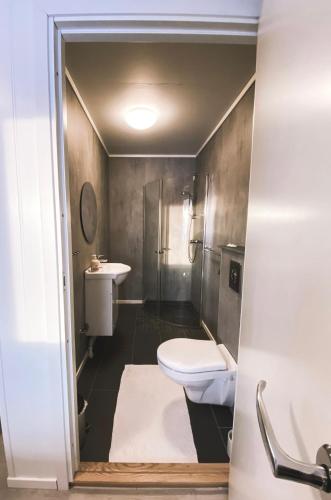 a bathroom with a toilet and a shower and a sink at Lille Chili Guesthouse in Jakobselv