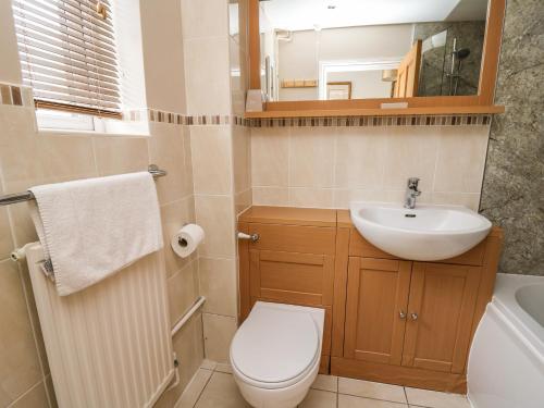 a bathroom with a toilet and a sink and a mirror at Ty'r Heulwen in Aberdyfi