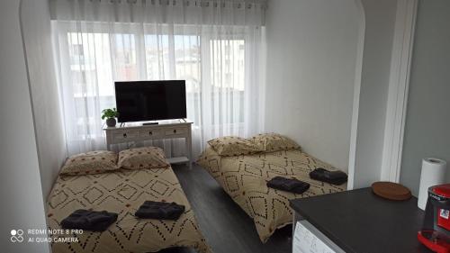 een kleine kamer met 2 bedden en een flatscreen-tv bij M & L in Ambilly