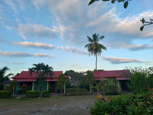 Κήπος έξω από το Motel Aurora Damai