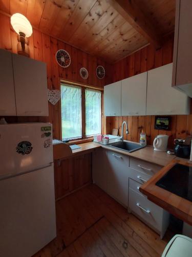 una cucina con frigorifero bianco e pareti in legno di Domek letniskowy Woryty a Woryty