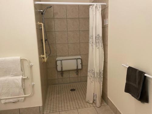 y baño con ducha y cortina de ducha. en Ascot Motor Lodge en Wellington