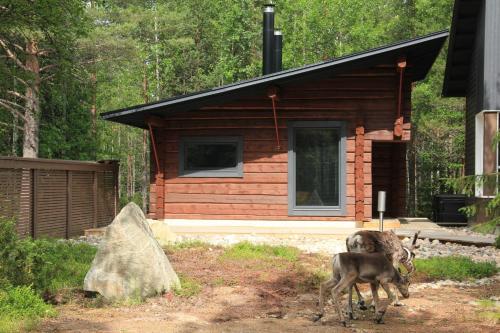 Fotografie z fotogalerie ubytování Syöte Cottage v destinaci Syöte
