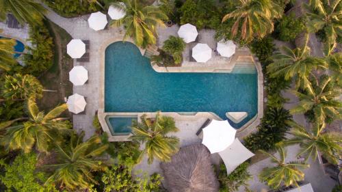 an overhead view of a swimming pool with palm trees at Castaway Island, Fiji in Castaway Island