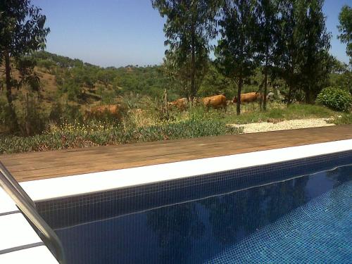 a swimming pool with a view of cows in a field at Courela do Salgueiro in Carocha