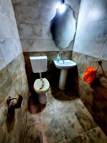 a bathroom with a toilet and a sink at Casa Adelina in Băile Herculane