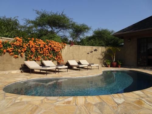 a small swimming pool with lounge chairs and flowers at Sunbird Cottage in Usa River