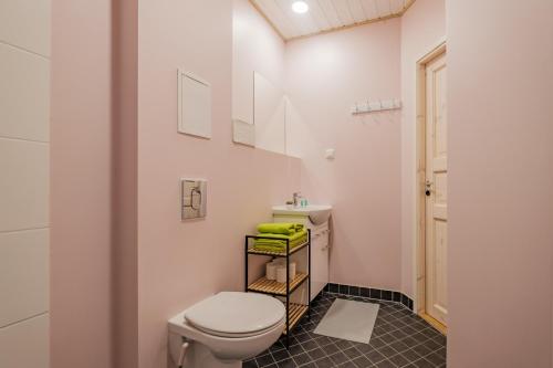 a bathroom with a toilet and a sink at Kastanimaja Apartments in Tartu