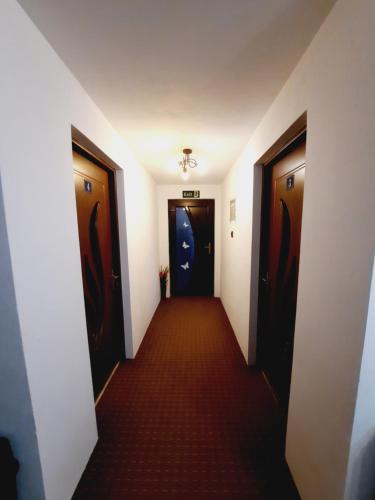 a hallway with two doors and a red carpet at Casa Adelina in Băile Herculane