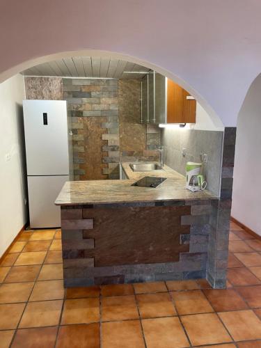 a kitchen with a counter and a refrigerator at L'Es-sens-ciel in Le Guillaume