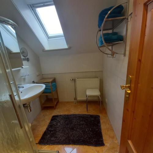 a small bathroom with a sink and a skylight at Urlaub am Bauernhof Gänser in Sankt Peter am Kammersberg