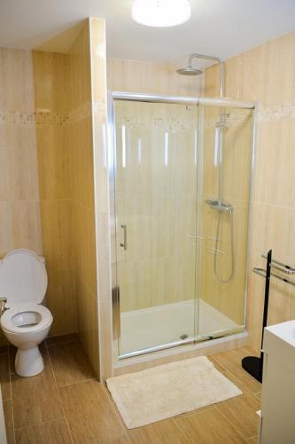 une salle de bain avec douche et toilettes dans l'établissement L'Océan, à Mimizan