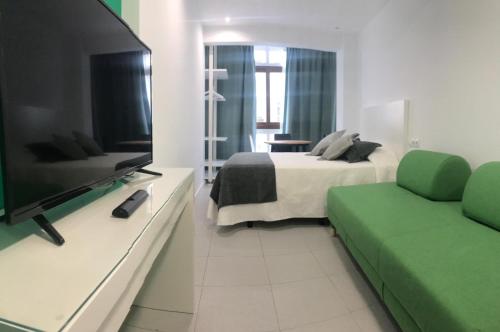 a bedroom with a bed and a tv and a couch at Nest Flats Santiago VUT in Santiago de Compostela