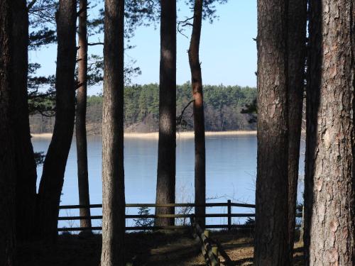 a view of a lake through the trees at Zakątek Borsk, Jasnochówka 2, domek 37 in Borsk