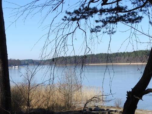 a view of a lake with trees in the foreground at Zakątek Borsk, Jasnochówka 2, domek 37 in Borsk