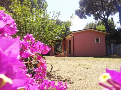 una casa con flores rosas delante de un patio en Villetta Giada, en Capoliveri