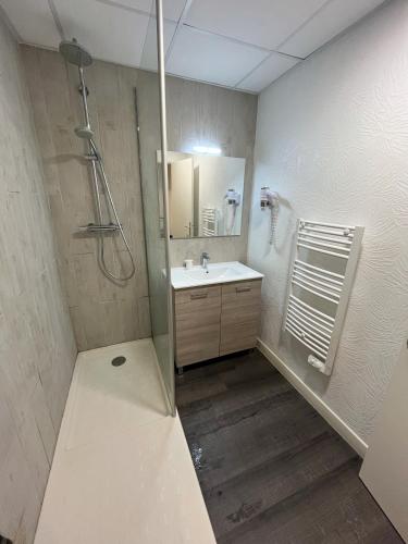 une salle de bain avec une douche, un lavabo et un miroir dans l'établissement Le Rocher Du Cerf, à Le Lioran