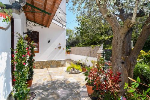 Κήπος έξω από το Villa del Mare