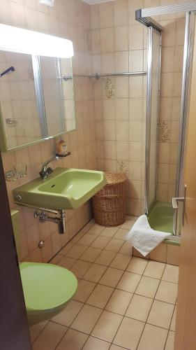 ein Badezimmer mit einem grünen Waschbecken und einer Dusche in der Unterkunft Ferienwohnung Silberdistel in Bellwald