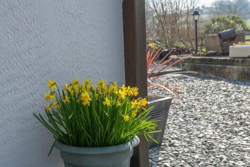 Taman di luar Beautiful Countryside cottage on the North Wales Coast