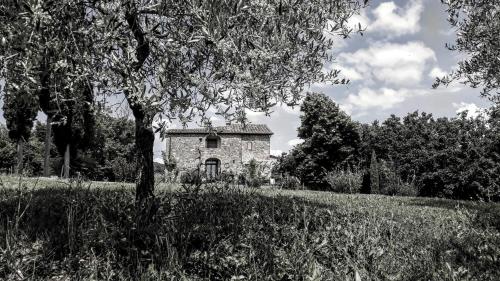 uma velha casa de pedra no meio de um campo em Podere Pievina Delle Corti - Dimora di Campagna em Sinalunga