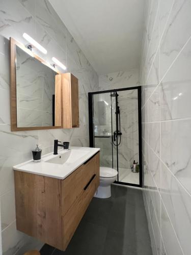 une salle de bain avec un lavabo, des toilettes et une douche dans l'établissement Gîte La Fougère, à Vals-les-Bains
