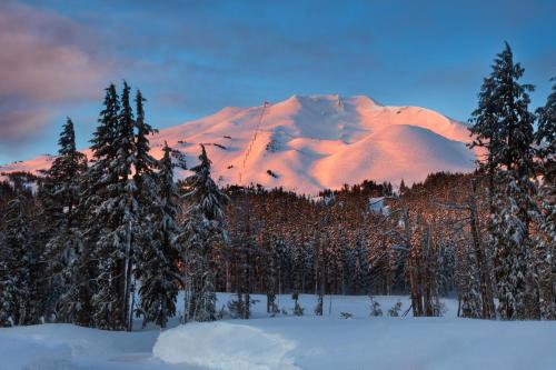 a snow covered mountain in the distance with trees in the foreground at Woodpecker Lookout in Sunriver