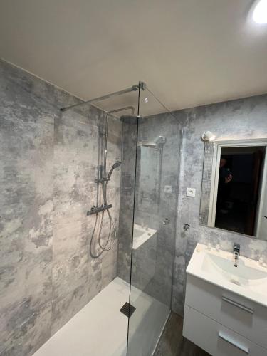a bathroom with a shower and a sink at Résidence Les Milandes in Cazaubon