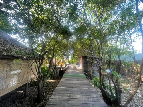 a wooden path through a forest with trees at บ้านริมเลปากประ Banrimlay Pakpra in Phatthalung