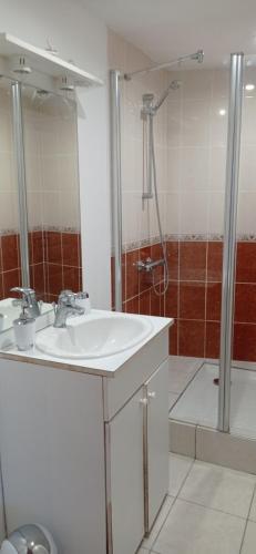 a bathroom with a sink and a shower at La plage in Audierne