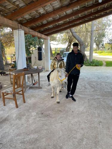 Casa Vacanza Il Maneggio – Photos 4