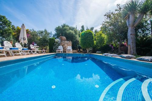 a swimming pool with chairs and a palm tree at Ideal Property Mallorca - Villa Erika in Inca