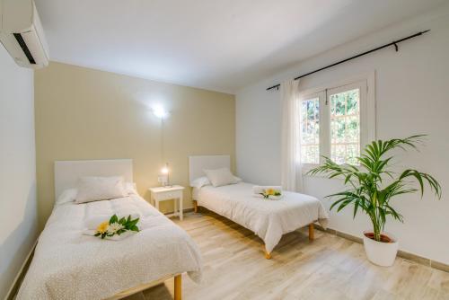 a bedroom with two beds and a potted plant at Ideal Property Mallorca - Sa Vinya Vella in Alcudia