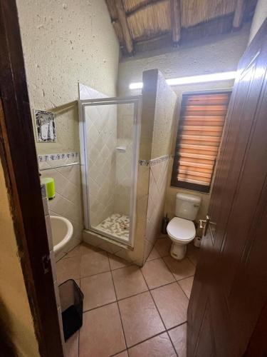 a bathroom with a shower and a toilet at Mopani Villa in Marloth Park