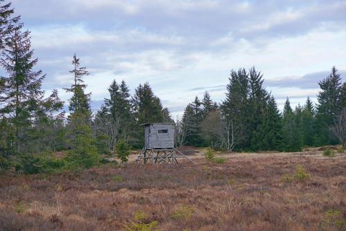 a shack in the middle of a field with trees at Apartmány U Muzea in Horní Blatná