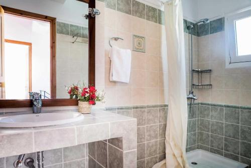 凱特利奧斯的住宿－柯斯提斯別墅，一间带水槽和淋浴的浴室