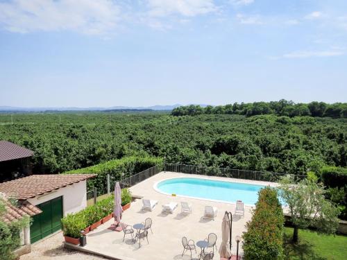 einen Pool mit Stühlen und Sonnenschirmen neben einem Weinberg in der Unterkunft Apartment Casale Zuccari-1 by Interhome in Carbognano