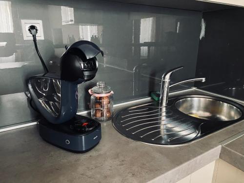 blat kuchenny z mikserem i zlewem w obiekcie Apartment Abbazia w mieście Opatija