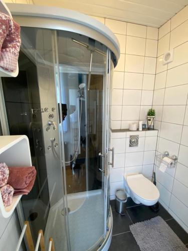 a bathroom with a shower and a toilet at Appartements Gabat Nähe Red Bull Ring in Sankt Michael in Obersteiermark