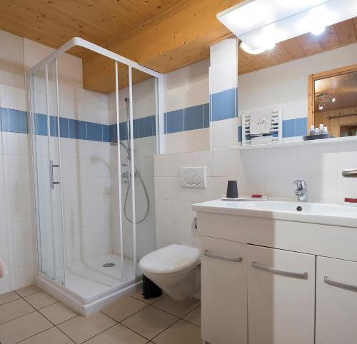 a bathroom with a shower and a toilet and a sink at Kern in Seytroux