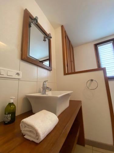 La salle de bains est pourvue d'un lavabo et d'un miroir. dans l'établissement CREMANT - Appartement Spacieux et lumineux - Parking gratuit, à Riquewihr