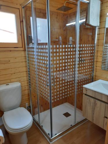 y baño con aseo y ducha. en Cabañas de Madera El Rinconcillo, en Arroyo Frío